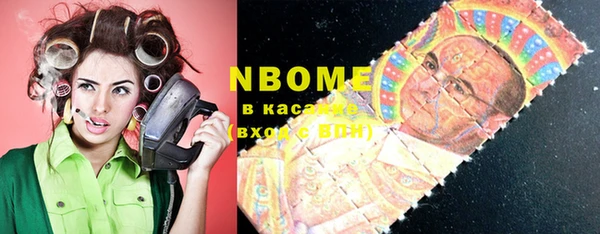 прущие грибы Новозыбков