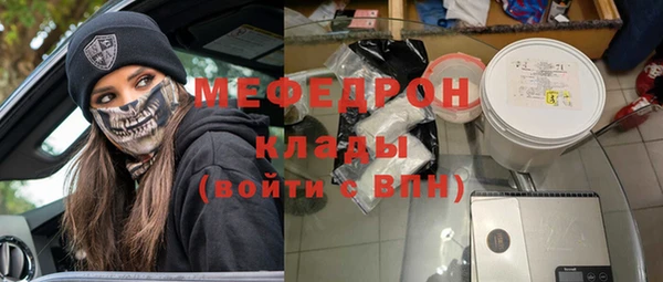 прущие грибы Новозыбков