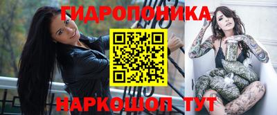 крисы Аргун