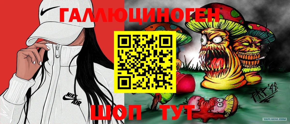 Бахчисарай  Галлюциногенные грибы Psilocybe  Вход с VPN 